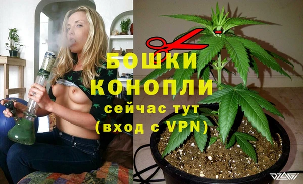 тгк Апатиты