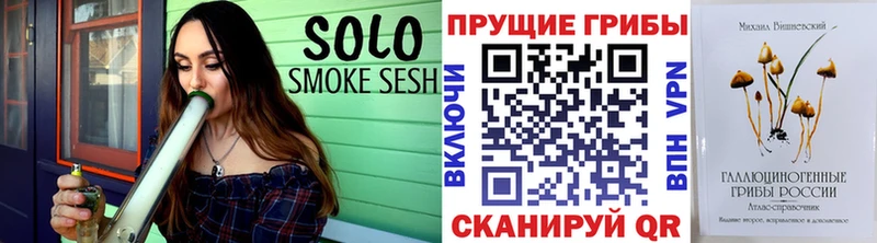 omg рабочий сайт  Чудово  Псилоцибиновые грибы GOLDEN TEACHER 